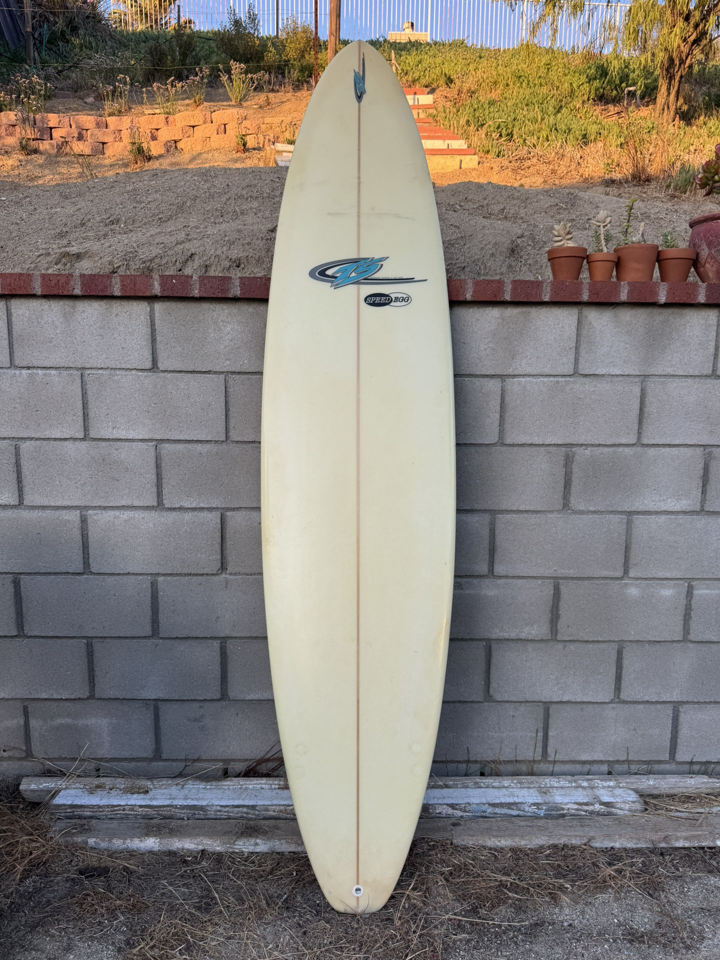 Surfboard Longboard