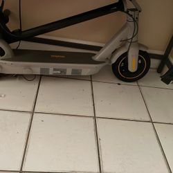 Ninebot Scooter 