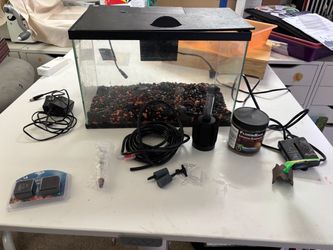 3 gallon aquarium set up