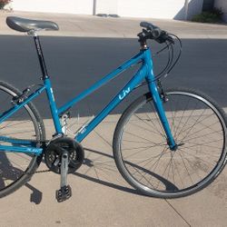 Giant Hybrid Bike