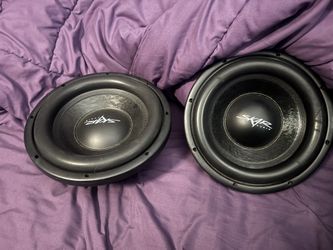 Skar 10” Subwoofers
