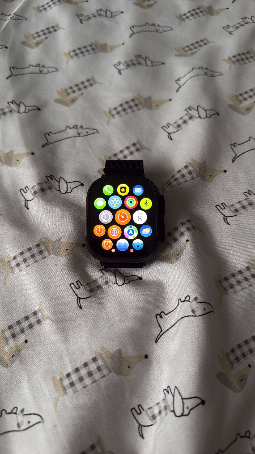 Apple Watch Ultra 2