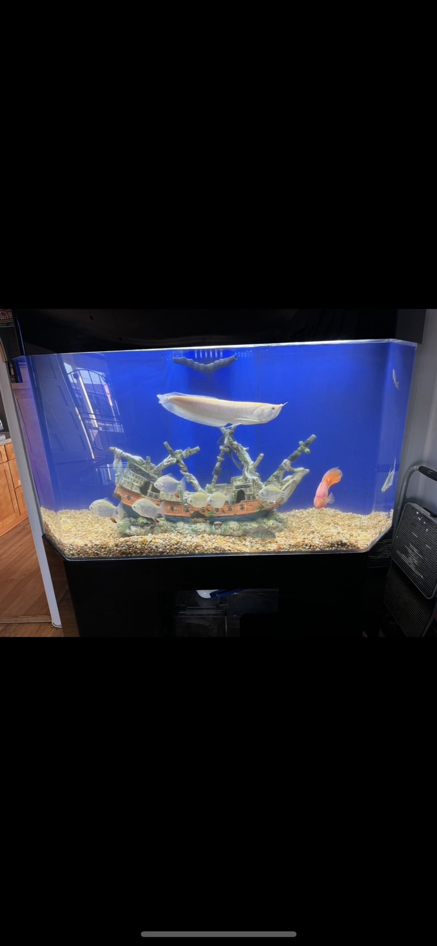 Fish Tank Acrylic 100 Gallons