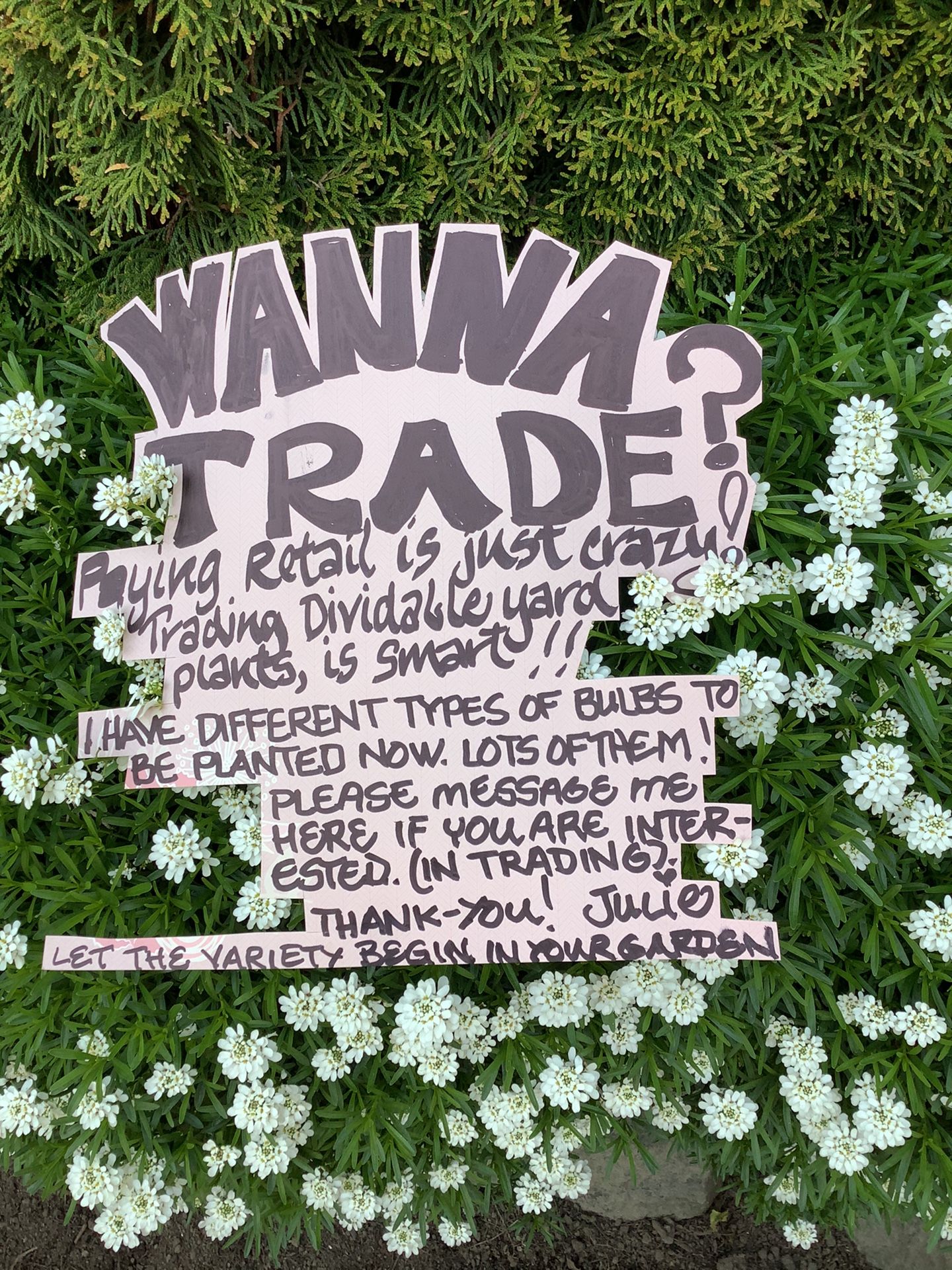 TRADING YARD PLANTS! See Description