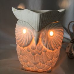 SCENTSY BUNDLE 