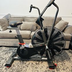 Schwinn Airdyne AD7 Exercise Air Bike