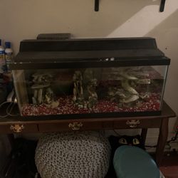 20 Gal. Fish Tank With Food And More