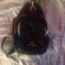 Nanette Lepore Bag