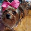 Brenda 