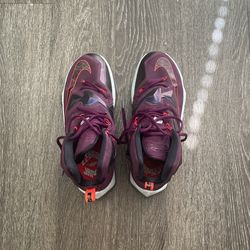 Nike Lebron 13
