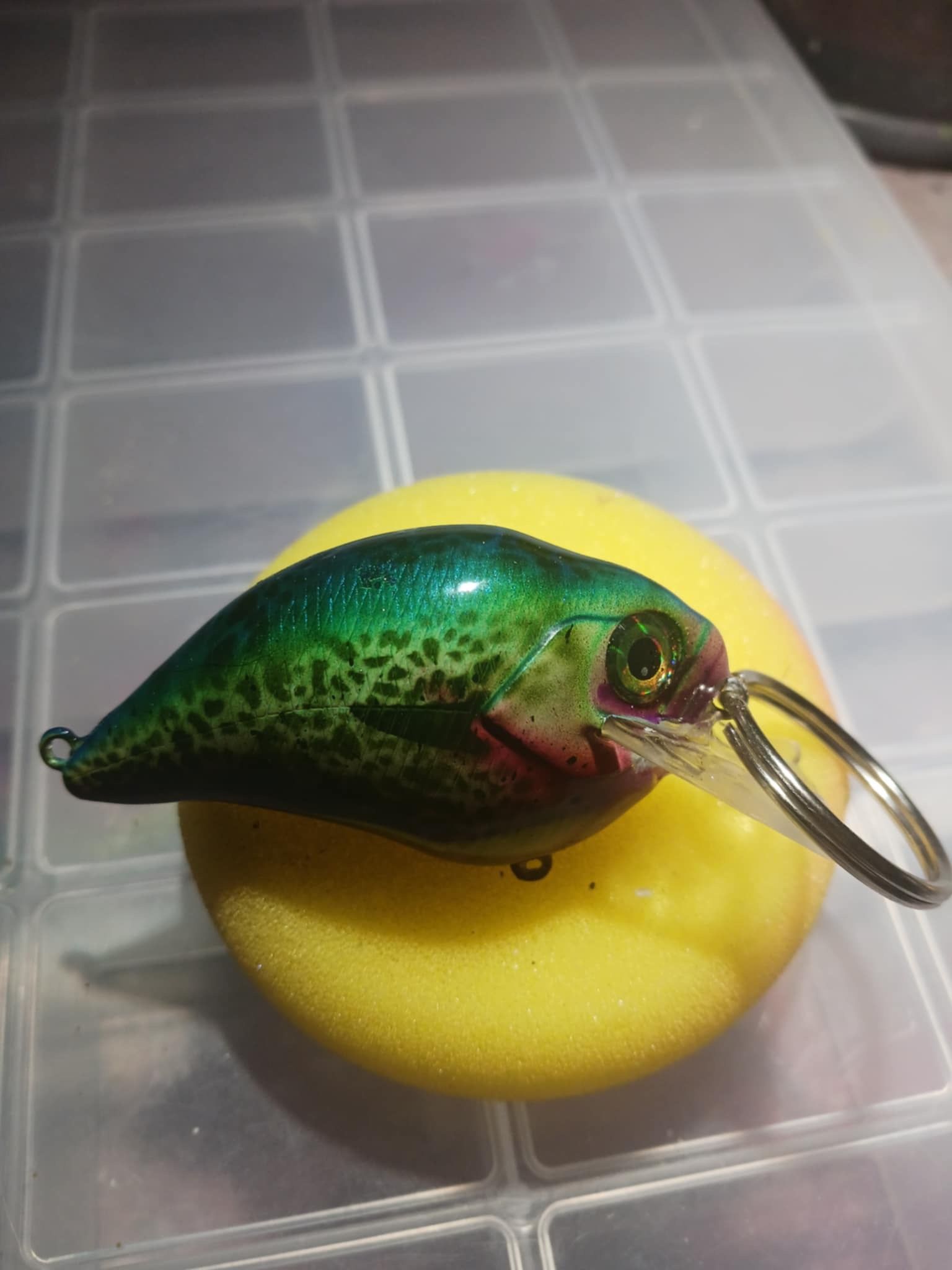 Homemade handpainted fishing lures