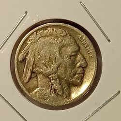 #262 Buffalo 1919 Coin 