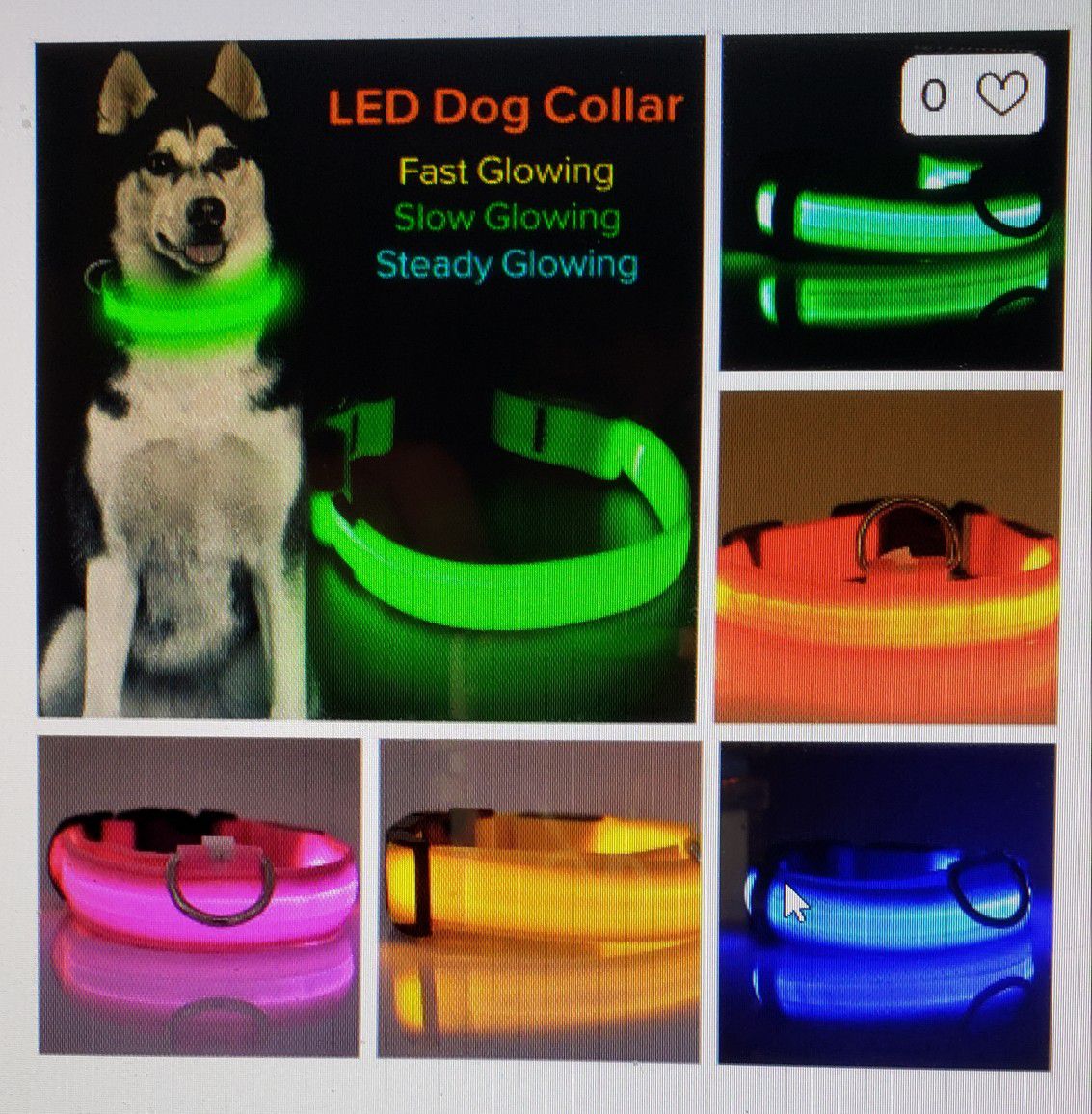 LED Light Up Dog Collar S,M,L Assorted Colors