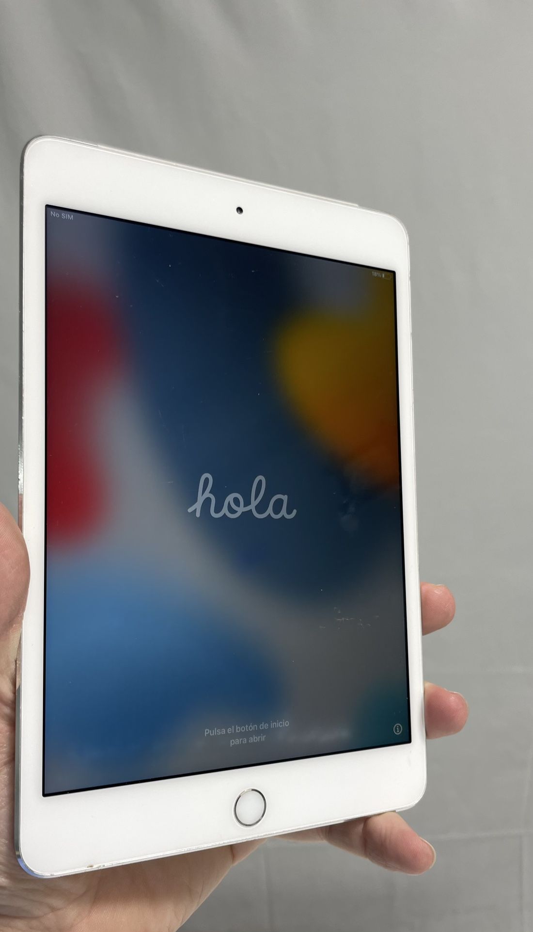iPad mini 4