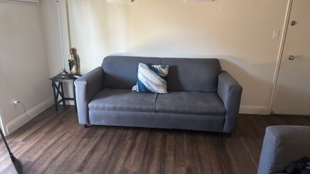 Two Gray Couches
