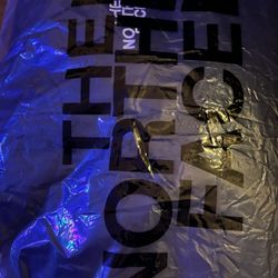 North Face 1996 Puffer