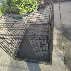 Dog 🐩cage XL 