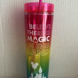 Disneyland Resort Tumbler " I Believe There Is Magic In This Land "  NEW