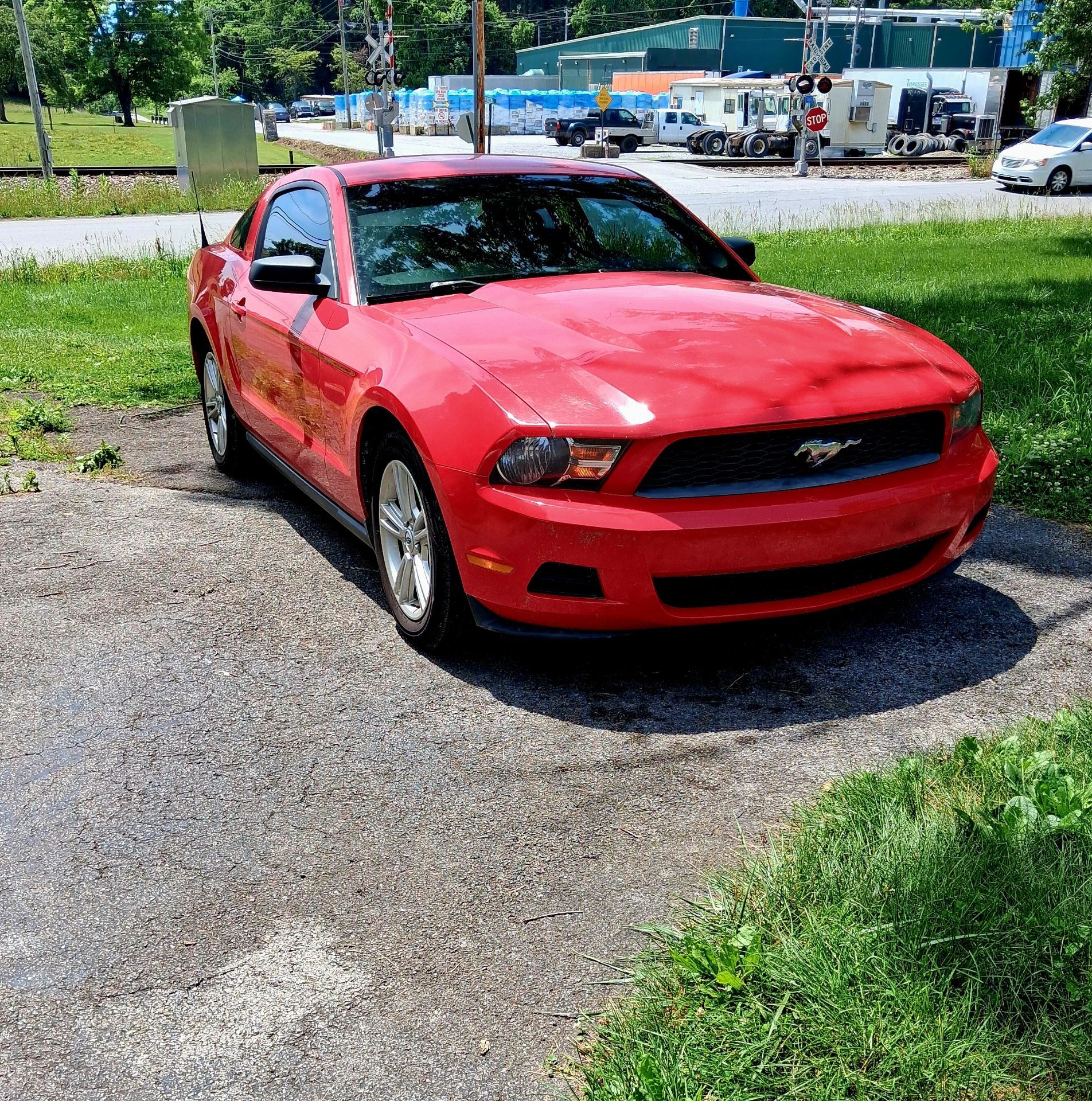 Ford mustang