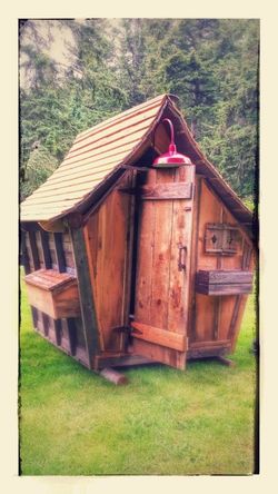 Rustic Shed Cabin Building Tinyhouse Chicken Coop