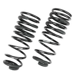 24+ Tacoma DirtKing 1” Rear Springs