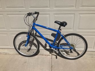 Beach cruiser bicycle