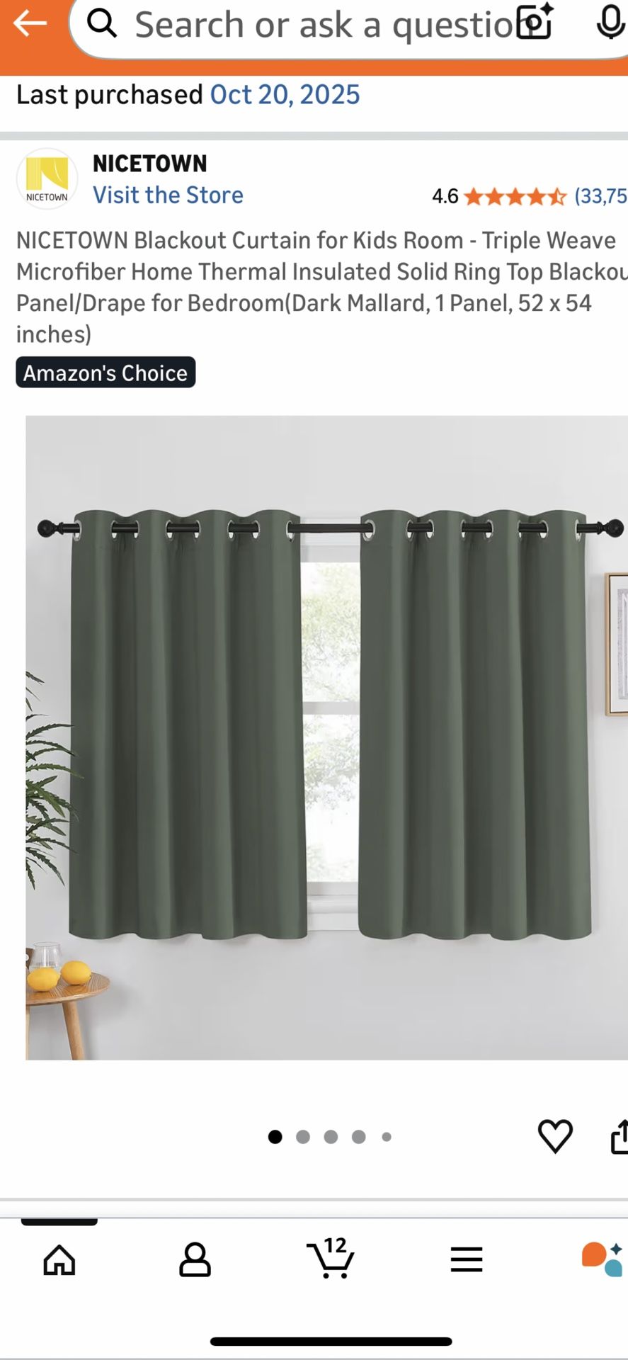 Black Out Curtains (6)