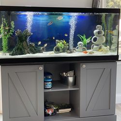 Fish Tank / 75 Gallon Aquarium With Stand