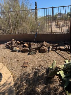 Landscape boulders
