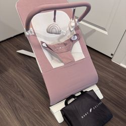 Baby Delight Baby Bouncer 