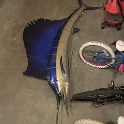 9 Foot sailfish From Mexico