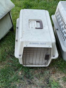 PET crate