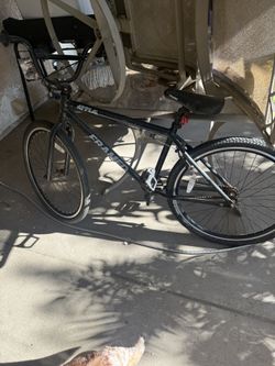 Appeal framed 26 Bike