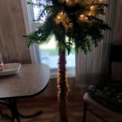 Lighted Christmas 🎄 Tree