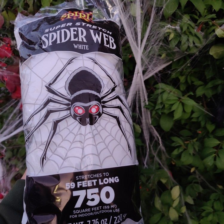 Halloween Spiderweb Decoration