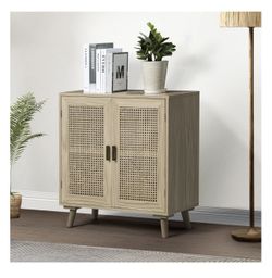 2 Door Cabinet Wood Storage