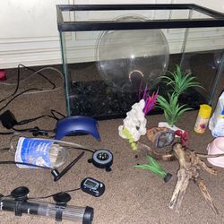 Fish Tank