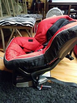 Cat seat up to 70 lbs