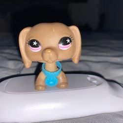 littlest pet shop dashound 