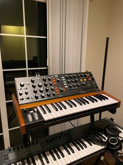 Behringer Poly D Analog Synthesizer