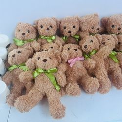 12 New! Teddy Bears 🧸 Take All