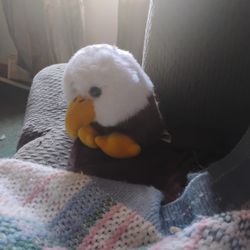 Baldwin The Eagle Puffkins Bean Bag Plush 1998 Patriotic Bird by SWIBCO