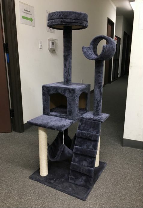 New in box 48 inches tall 19x19 inch base cat tree play ...