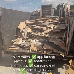 REMOVEMOS  BASURA $$