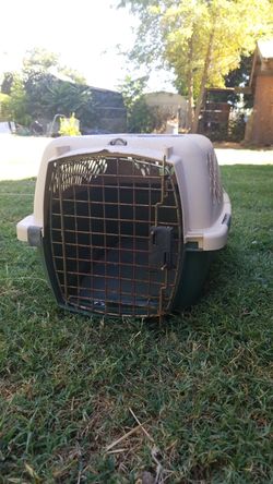 Petmate dog cage