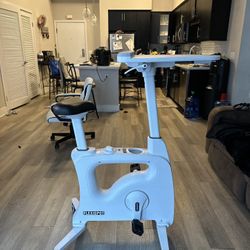 FLEXISPOT Exercise Bike