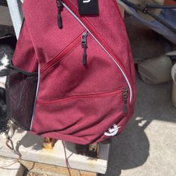 Pickle ball bag 