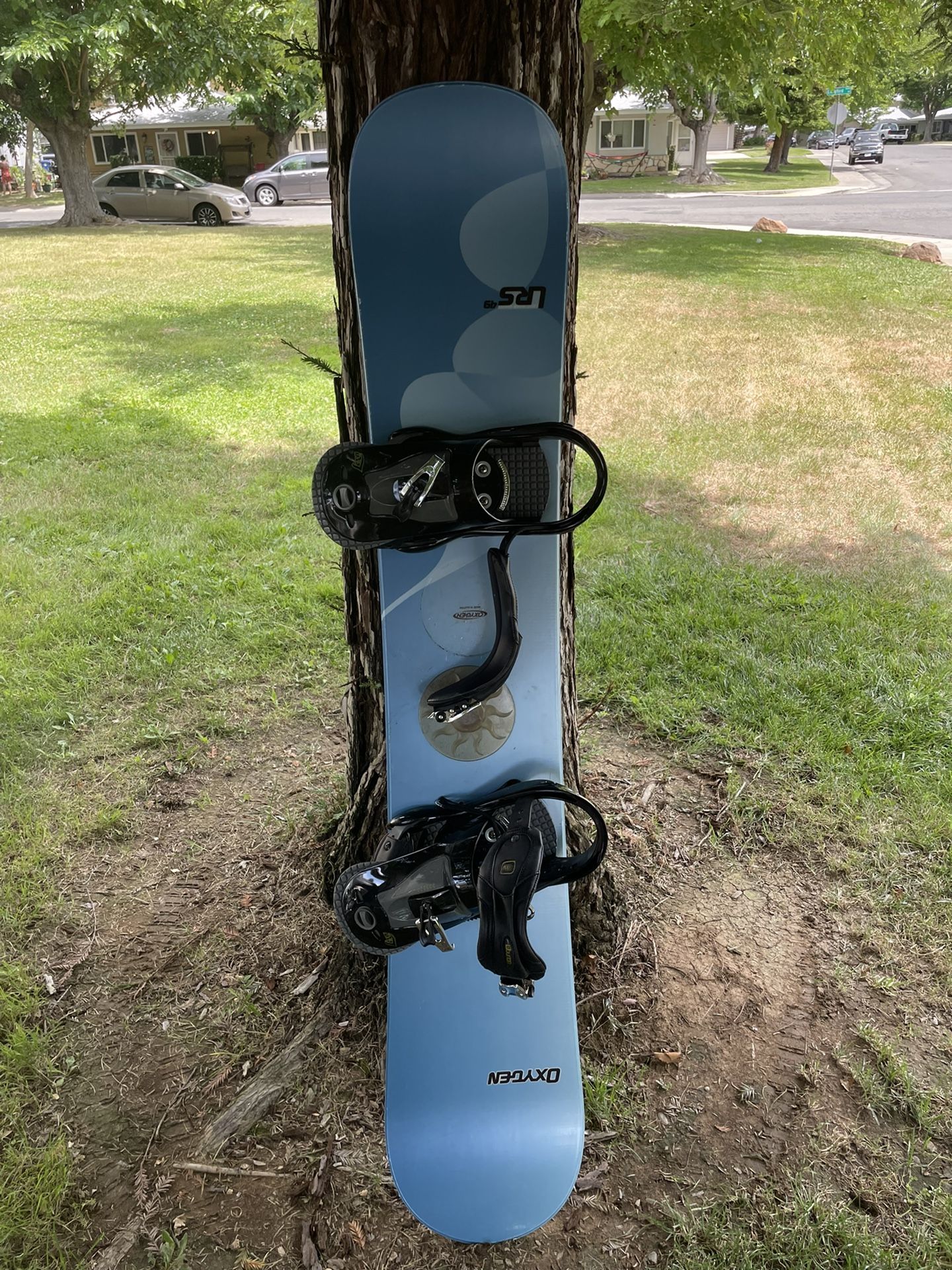 Adult Snowboard