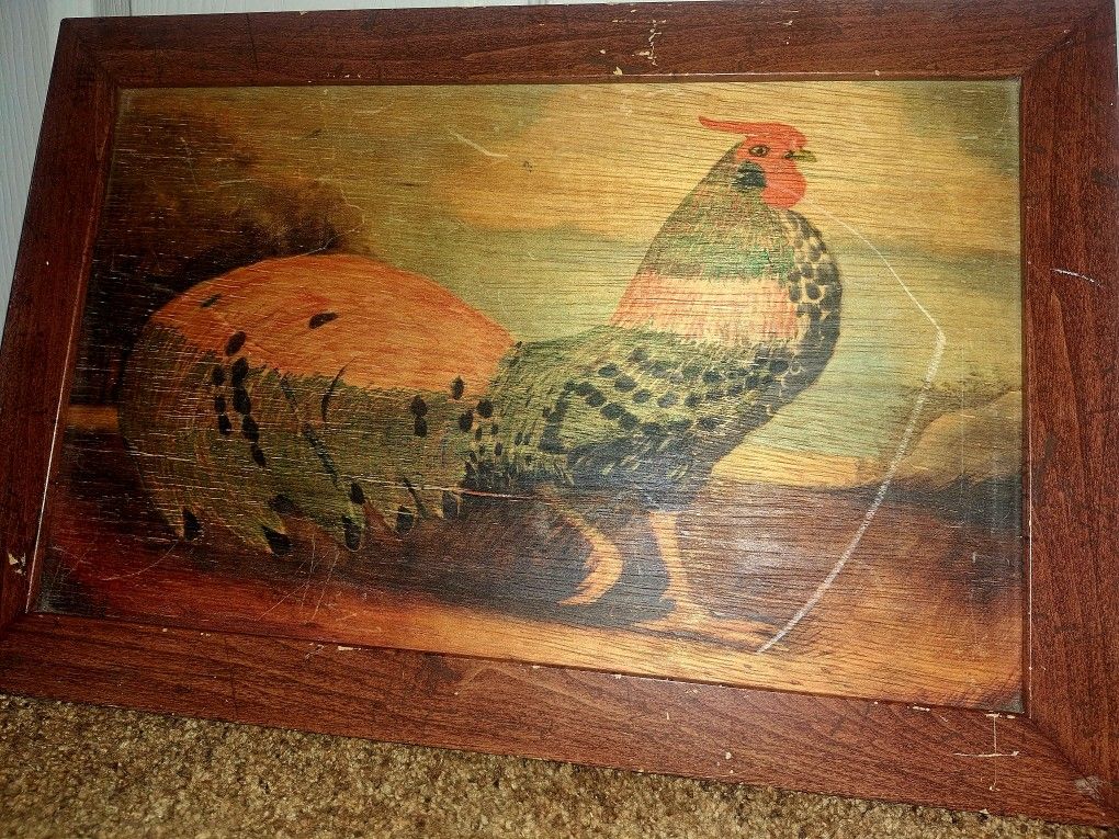 French Rooster