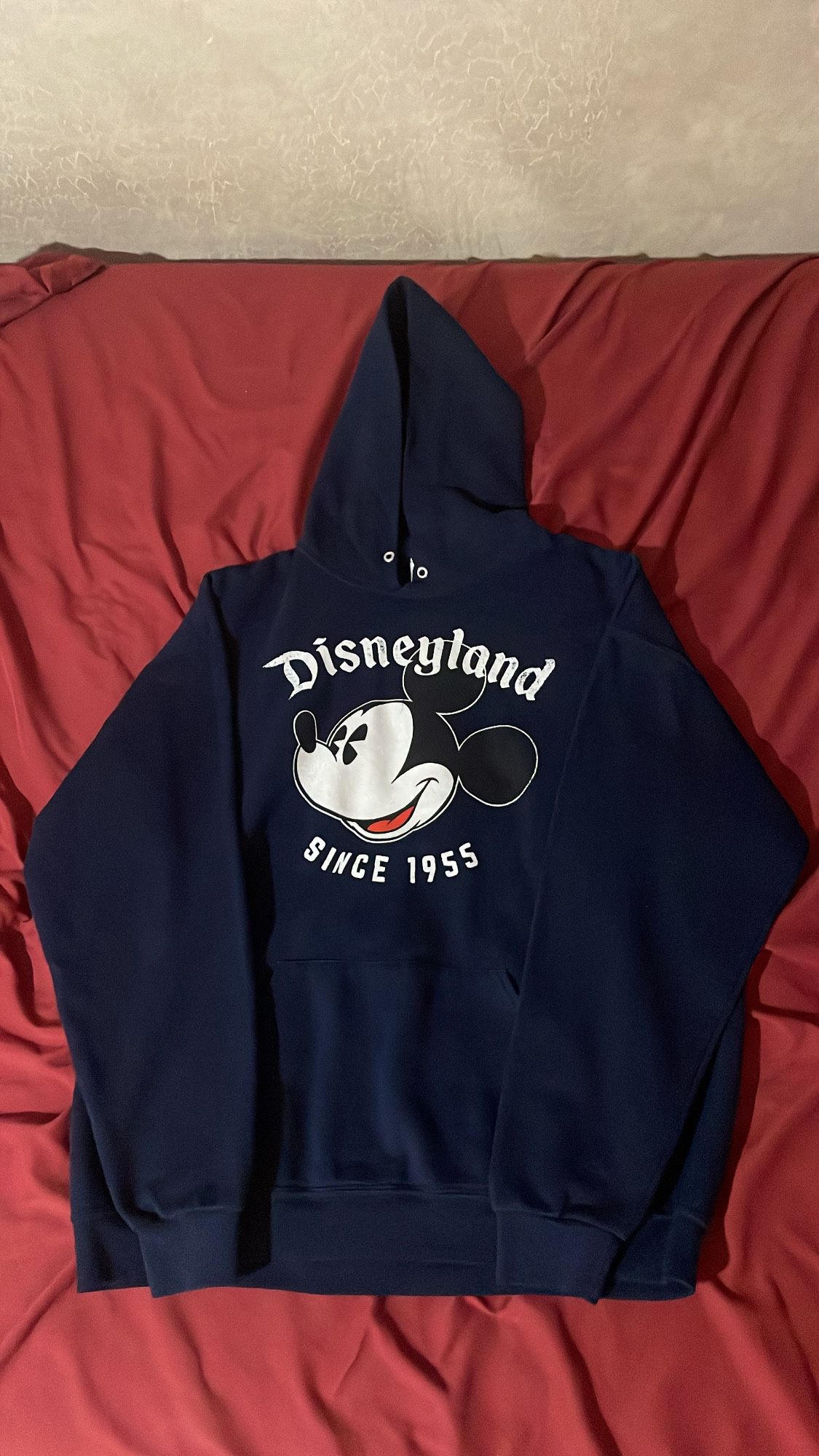 Disneyland Hoodie 